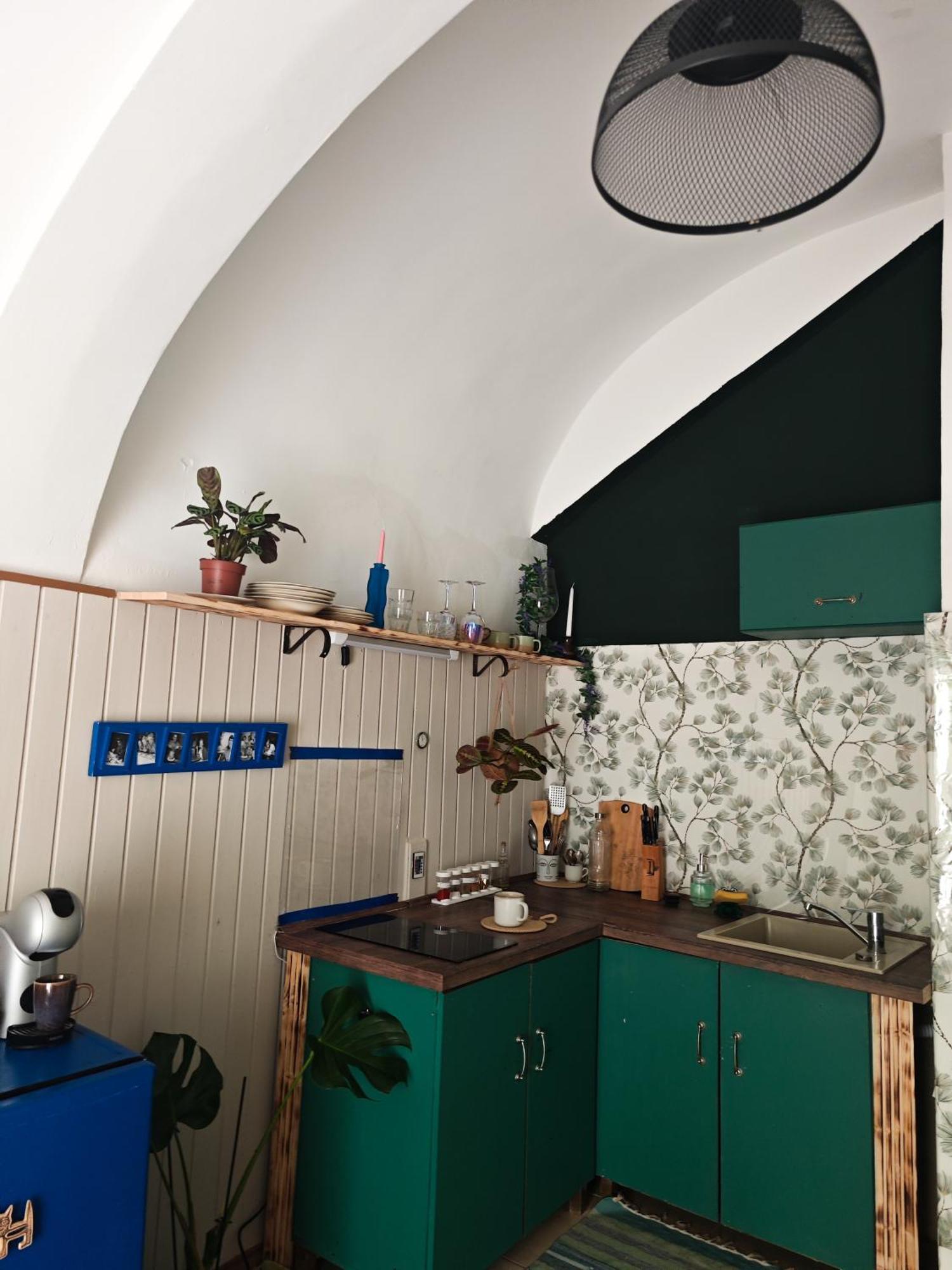 Vintage Room With Garden View Братислава Екстер'єр фото