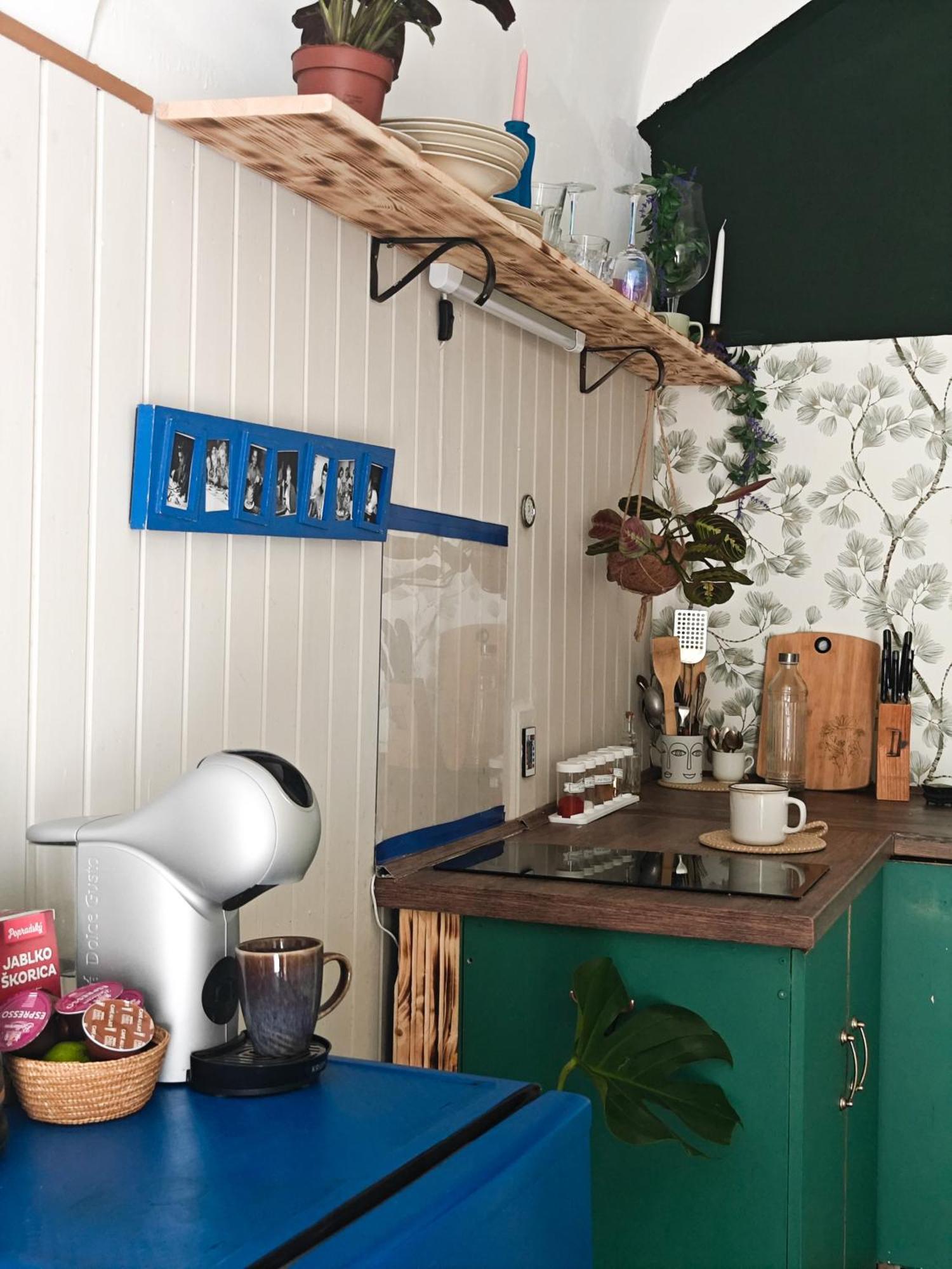 Vintage Room With Garden View Братислава Екстер'єр фото