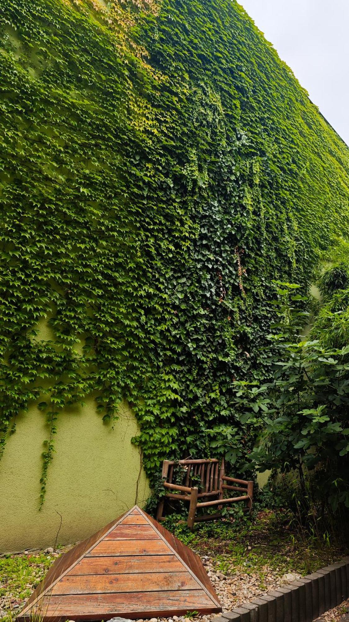 Vintage Room With Garden View Братислава Екстер'єр фото